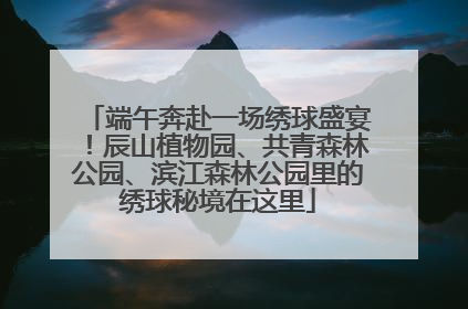 端午奔赴一场绣球盛宴！辰山植物园、共青森林公园、滨江森林公园里的绣球秘境在这里