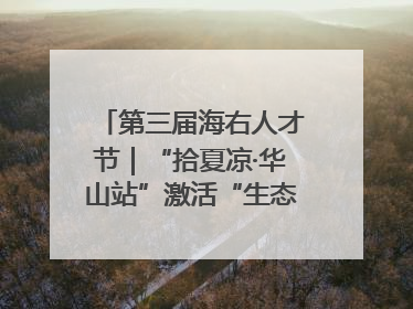 第三届海右人才节｜“拾夏凉·华山站”激活“生态聚才”强磁场