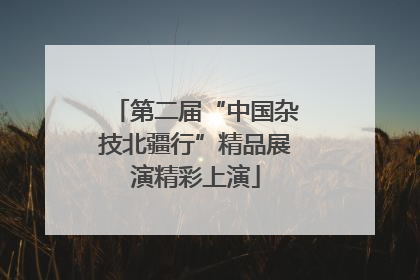 第二届“中国杂技北疆行”精品展演精彩上演