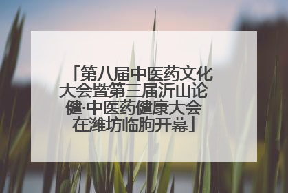 第八届中医药文化大会暨第三届沂山论健·中医药健康大会在潍坊临朐开幕