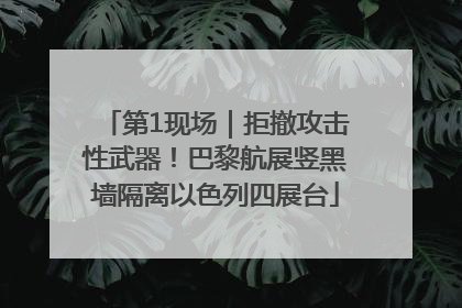 第1现场｜拒撤攻击性武器！巴黎航展竖黑墙隔离以色列四展台