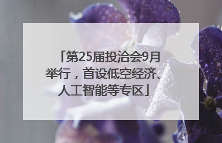 第25届投洽会9月举行，首设低空经济、人工智能等专区