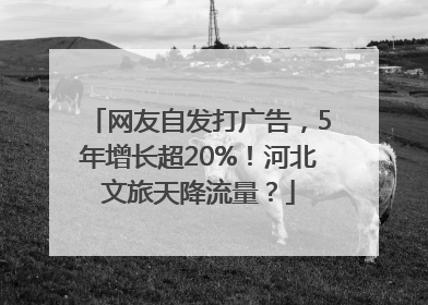 网友自发打广告，5年增长超20%！河北文旅天降流量？