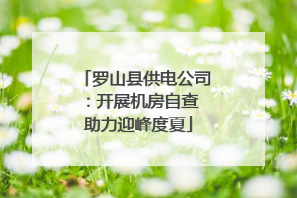 罗山县供电公司：开展机房自查 助力迎峰度夏