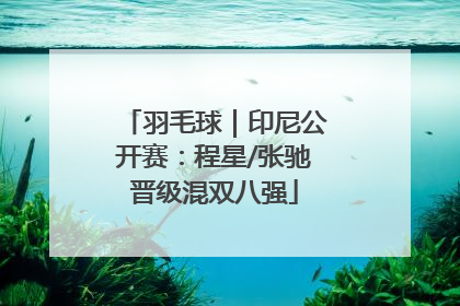 羽毛球｜印尼公开赛：程星/张驰晋级混双八强