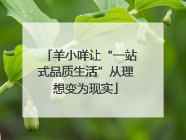 羊小咩让“一站式品质生活”从理想变为现实