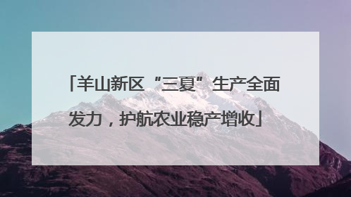 羊山新区“三夏”生产全面发力，护航农业稳产增收