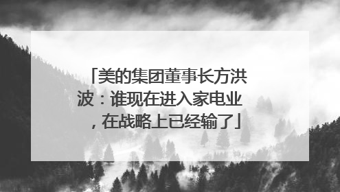 美的集团董事长方洪波：谁现在进入家电业，在战略上已经输了