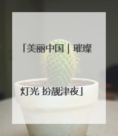 美丽中国｜璀璨灯光 扮靓津夜