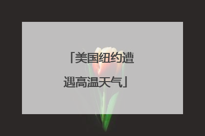 美国纽约遭遇高温天气