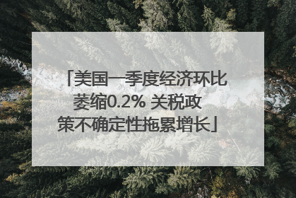 美国一季度经济环比萎缩0.2% 关税政策不确定性拖累增长