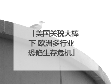 美国关税大棒下 欧洲多行业恐陷生存危机