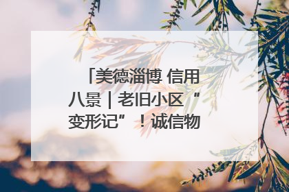 美德淄博 信用八景｜老旧小区“变形记”！诚信物业焐热居民心窝