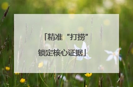 精准“打捞”锁定核心证据