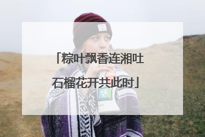 粽叶飘香连湘吐 石榴花开共此时