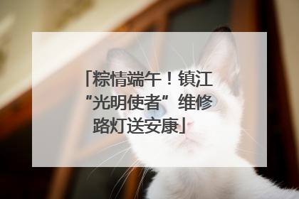 粽情端午！镇江“光明使者”维修路灯送安康