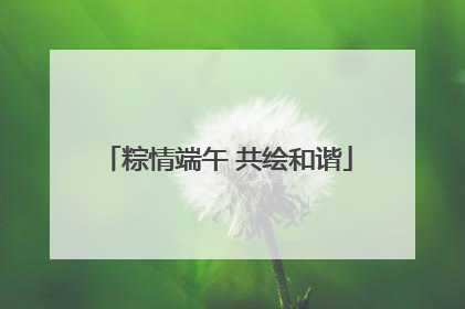 粽情端午 共绘和谐