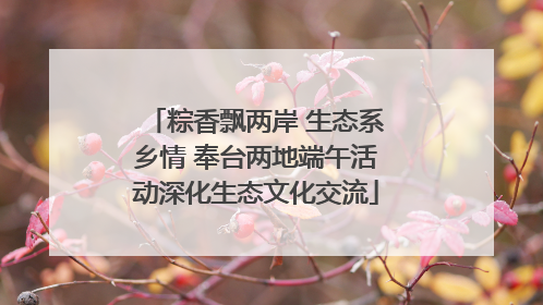 粽香飘两岸 生态系乡情 奉台两地端午活动深化生态文化交流