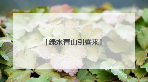 绿水青山引客来