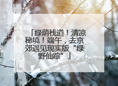绿荫栈道！清凉秘境！端午，去京郊遇见现实版“绿野仙踪”