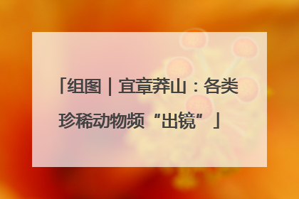 组图｜宜章莽山：各类珍稀动物频“出镜”