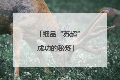 细品“苏超”成功的秘笈