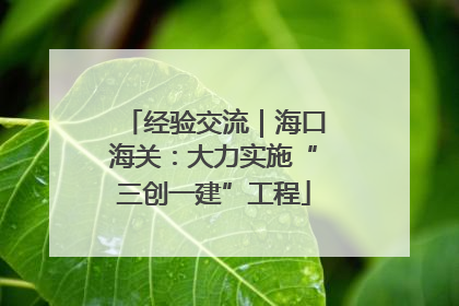 经验交流｜海口海关：大力实施“三创一建”工程