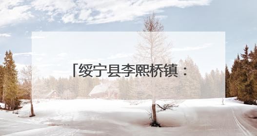 绥宁县李熙桥镇：人大代表勤履职 服务民生显担当