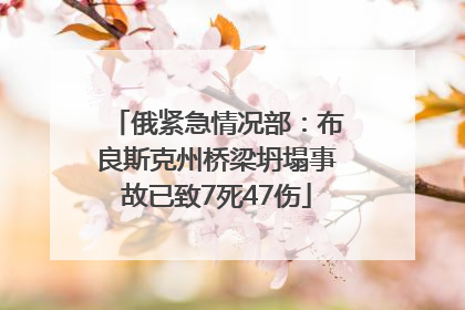 俄紧急情况部：布良斯克州桥梁坍塌事故已致7死47伤