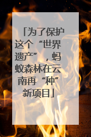 为了保护这个“世界遗产”，蚂蚁森林在云南再“种”新项目