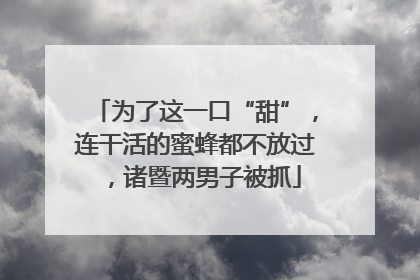 为了这一口“甜”，连干活的蜜蜂都不放过，诸暨两男子被抓