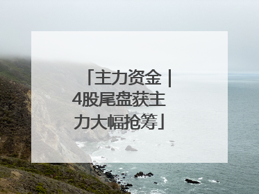 主力资金｜4股尾盘获主力大幅抢筹