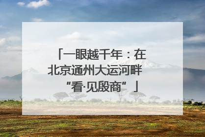 一眼越千年：在北京通州大运河畔“看·见殷商”