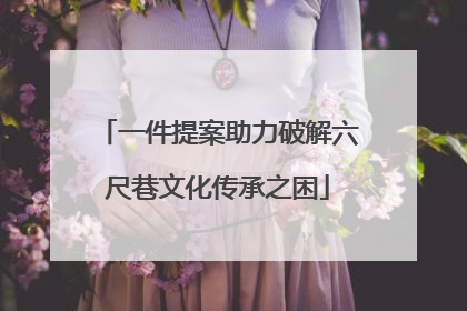 一件提案助力破解六尺巷文化传承之困