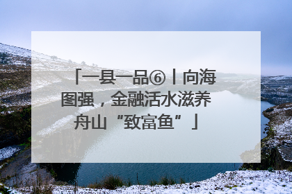 一县一品⑥丨向海图强，金融活水滋养舟山“致富鱼”