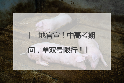 一地官宣！中高考期间，单双号限行！
