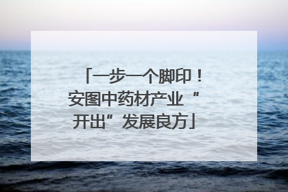 一步一个脚印！安图中药材产业“开出”发展良方