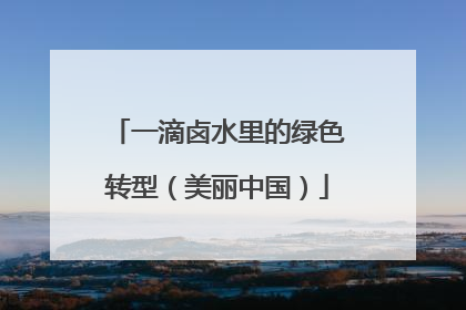 一滴卤水里的绿色转型（美丽中国）