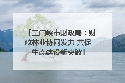 三门峡市财政局：财政林业协同发力 共促生态建设新突破