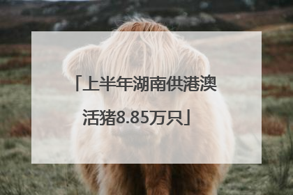 上半年湖南供港澳活猪8.85万只