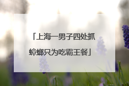 上海一男子四处抓蟑螂只为吃霸王餐