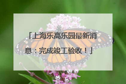 上海乐高乐园最新消息：完成竣工验收！