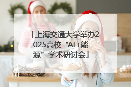 上海交通大学举办2025高校“AI+能源”学术研讨会