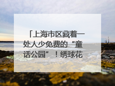 上海市区藏着一处人少免费的“童话公园”！绣球花海、金色秘境……地铁直达→