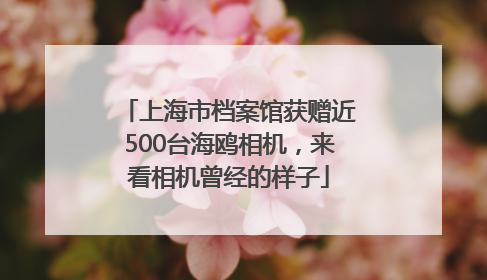 上海市档案馆获赠近500台海鸥相机，来看相机曾经的样子