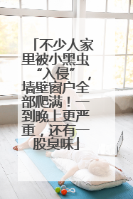 不少人家里被小黑虫“入侵”，墙壁窗户全部爬满！一到晚上更严重，还有一股臭味