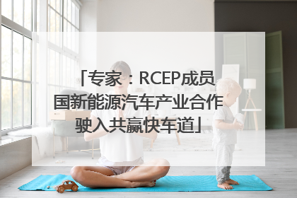 专家：RCEP成员国新能源汽车产业合作驶入共赢快车道