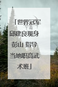 世界冠军邱建良现身彭山 指导当地职高武术班