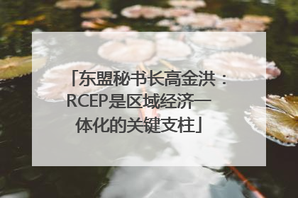 东盟秘书长高金洪：RCEP是区域经济一体化的关键支柱
