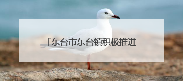 东台市东台镇积极推进生态河道整治实现河畅水清岸绿景美新愿景
